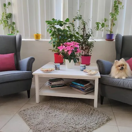 Mf5 - Cosy سليمة